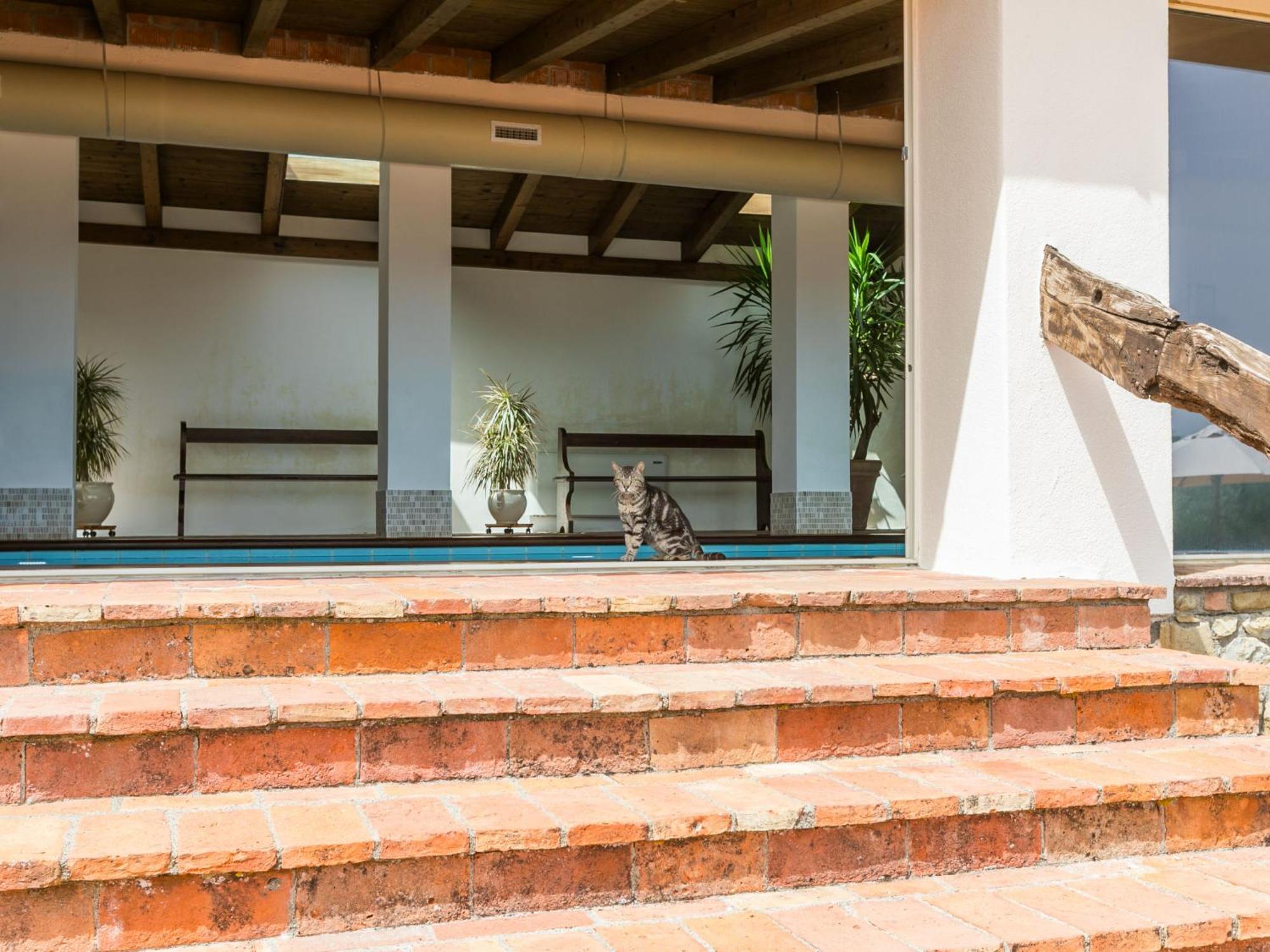 Holiday Home Ciliegiolo By Interhome Cinigiano Exteriér fotografie